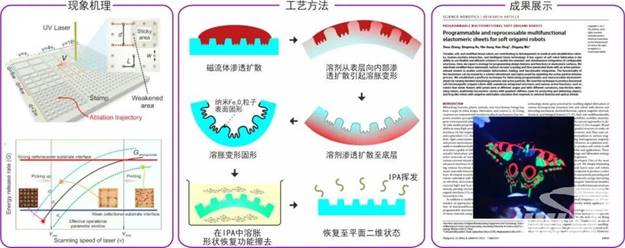 说明: http://news.hust.edu.cn/__local/E/3B/A6/6F89175D3E664F9E9A9B9363F1B_4807463B_154CF.jpg